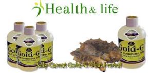 Obat Herbal Jelly Gamat Gold-G